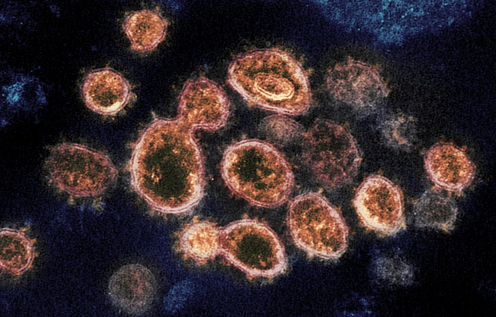 Wisconsin lists no virus deaths for 1st time since September
