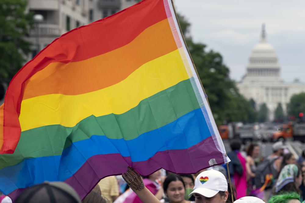 House passes same-sex marriage bill in retort to high court