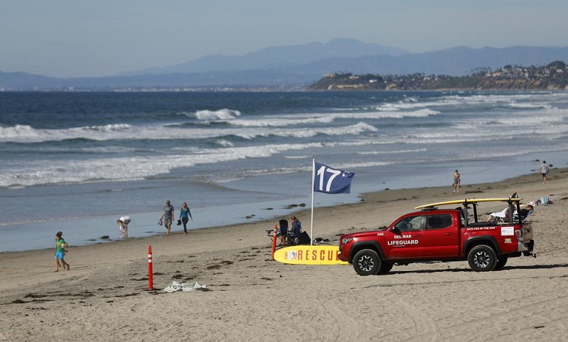 California swimmer describes seeing shark attack her