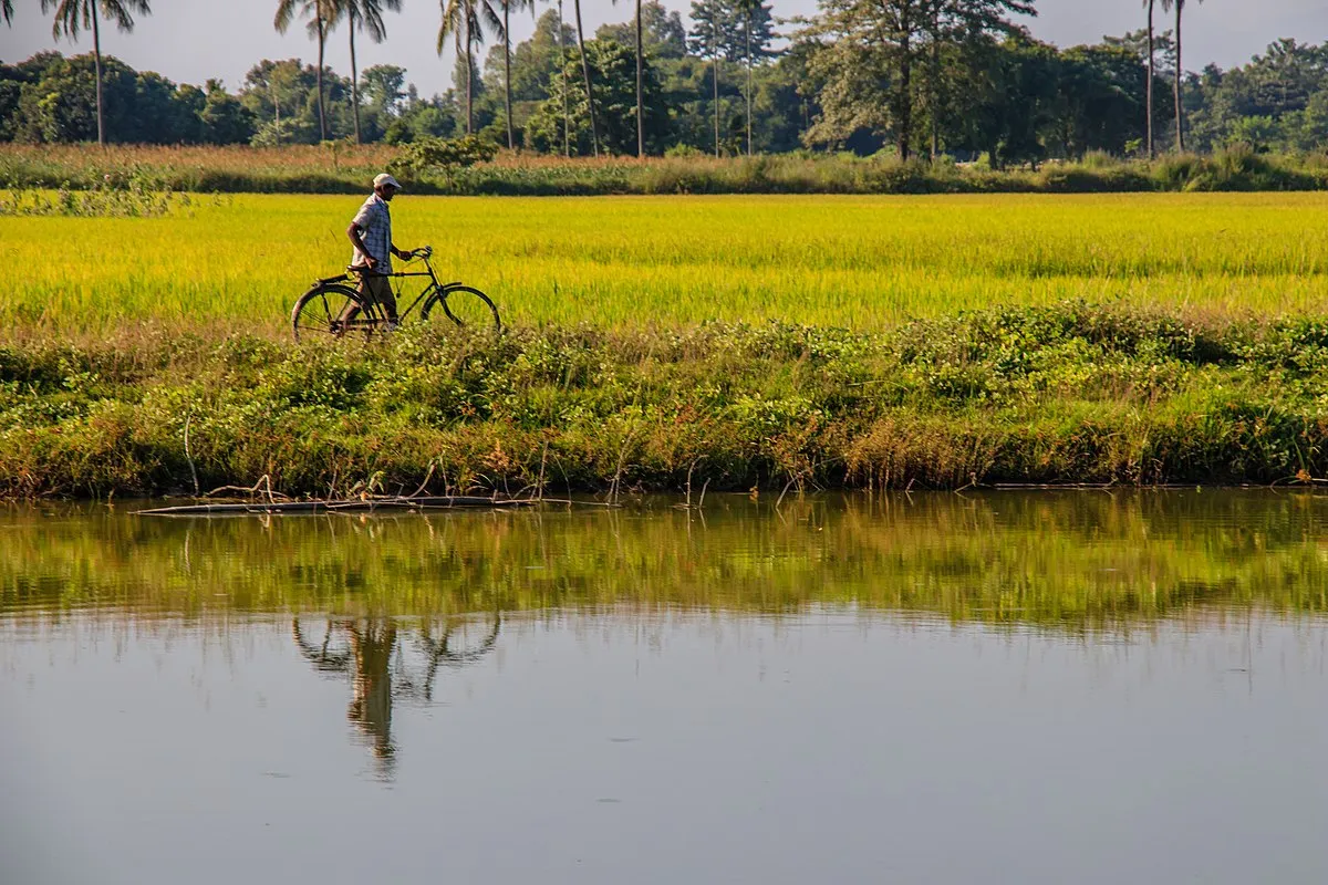 A bicycle lane to be constructed in Illam