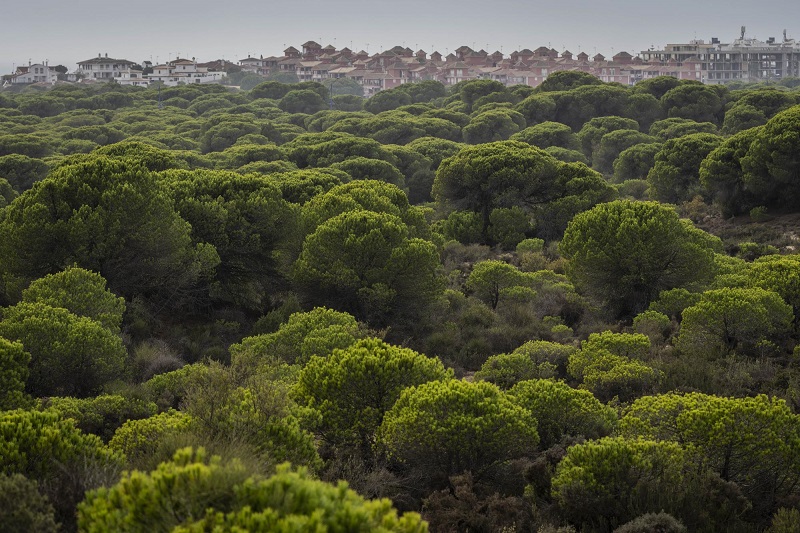 Spanish wetlands go dry