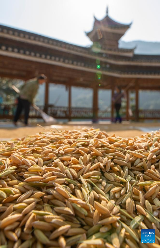 In pics: autumn scenery across China