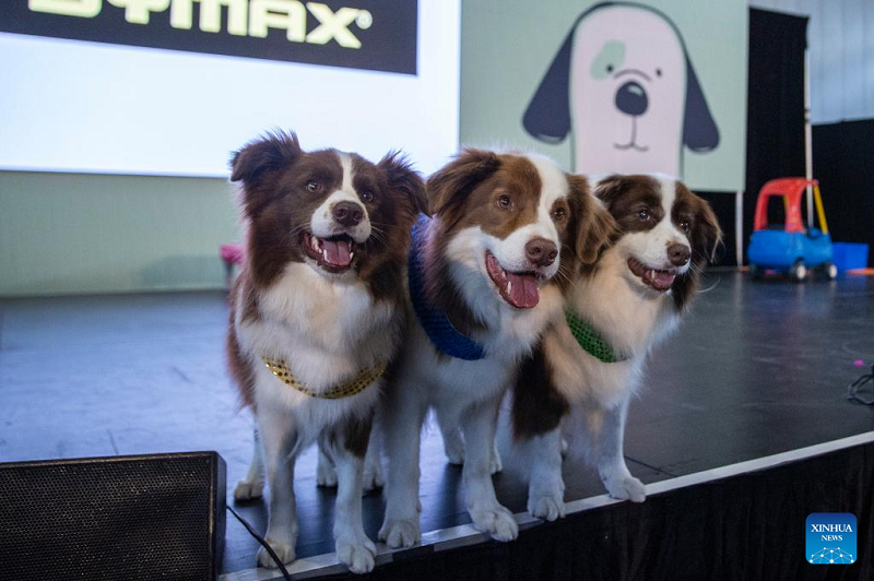 National pet show held in Sydney, Australia