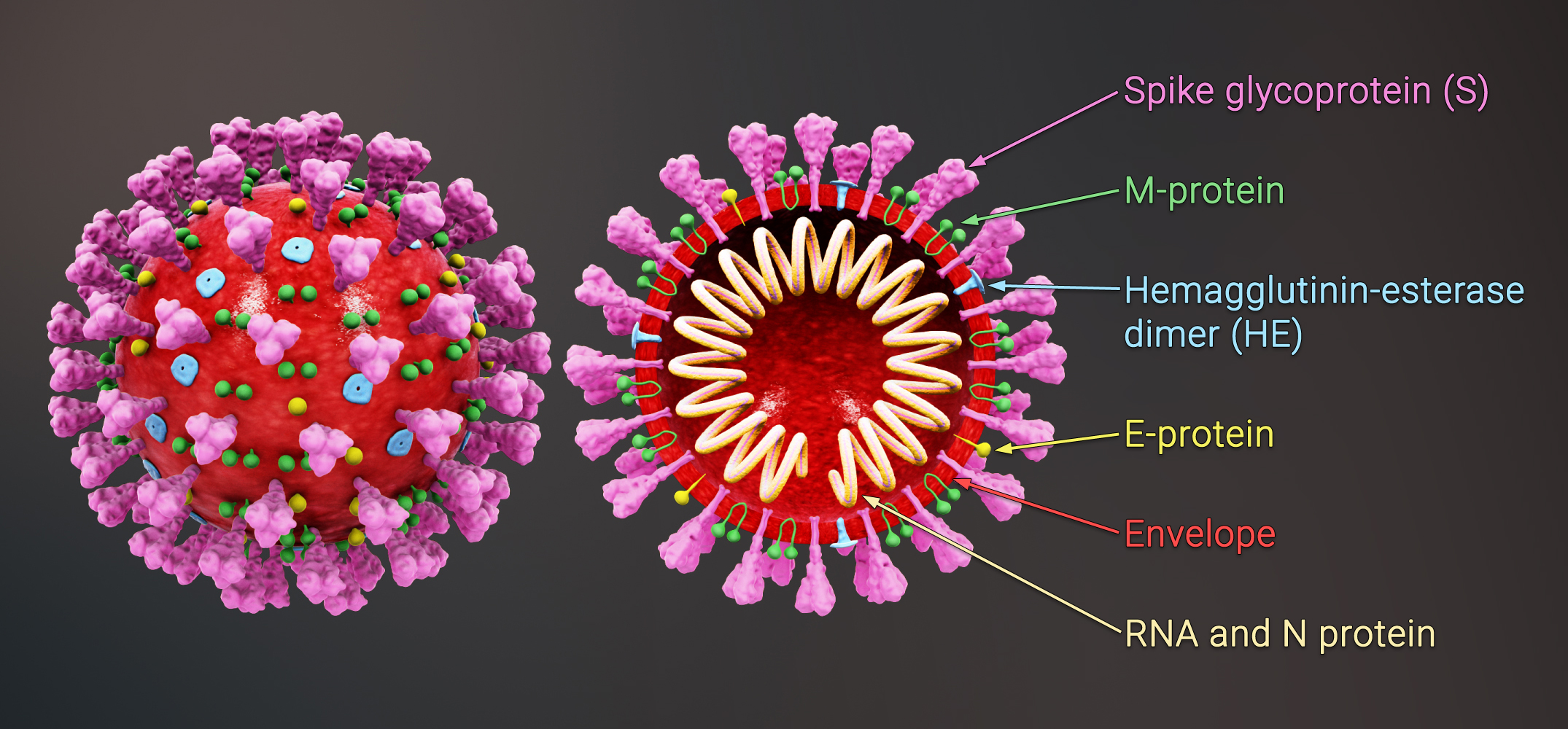 10 new people infected with Coronavirus in Nepal