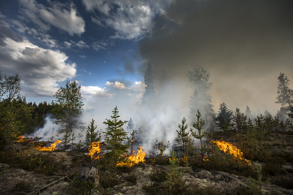 Myadgi faces high risk of forest fires