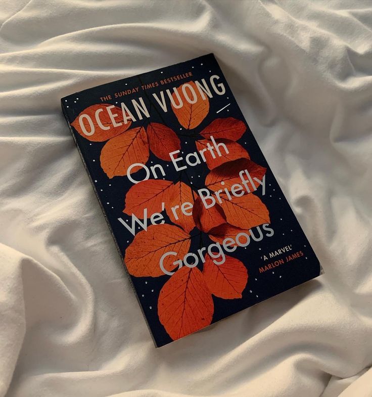 Book review: A sheer love that redefines beauty, and queer masculinity