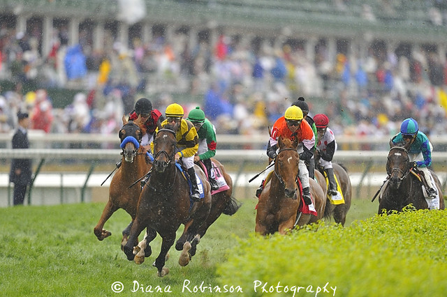2 horses die from injuries at Churchill Downs