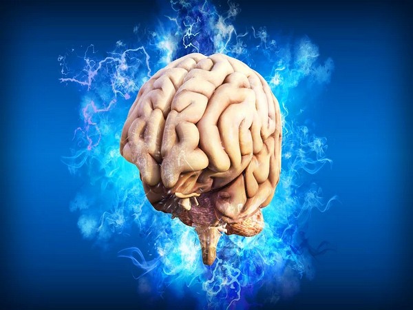 Explainer : Reason for placement of lesions in brain
