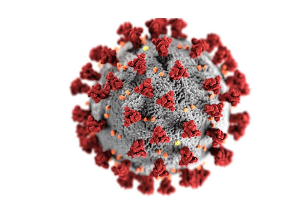 Research finds that viruses may have ‘eyes and ears’