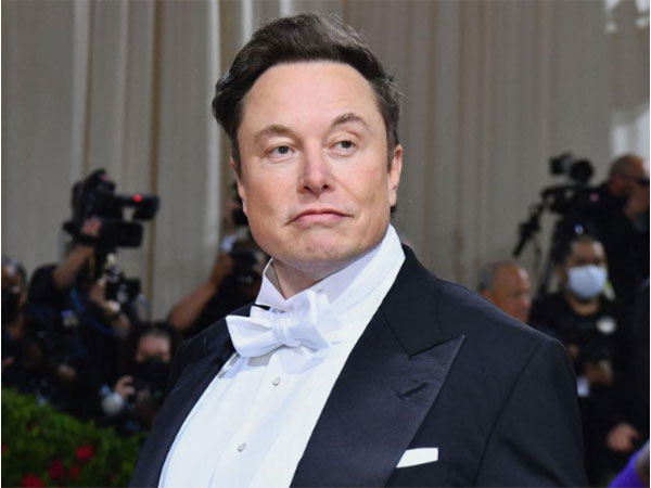 Elon Musk celebrates Twitter Halloween with pumpkin and dog pic