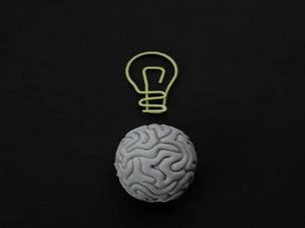 Brains consolidate motor memory during sleep: