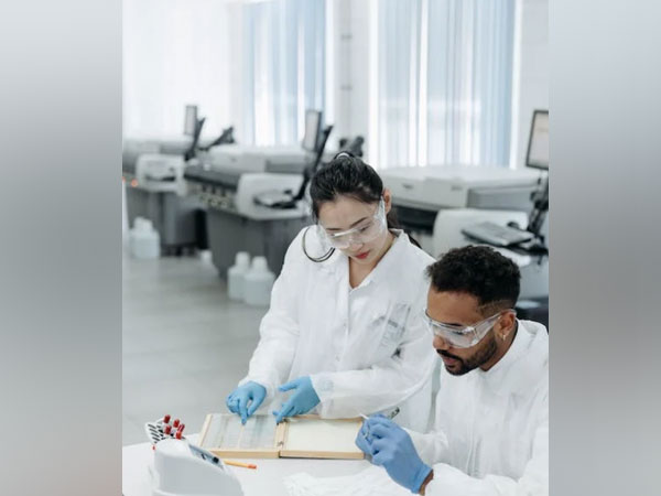 Microscopic training allow B cells to fight against viruses