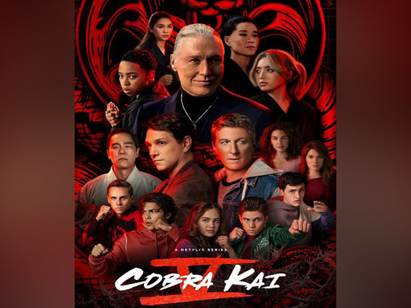 ‘Cobra Kai’ heading up for renewal and final season