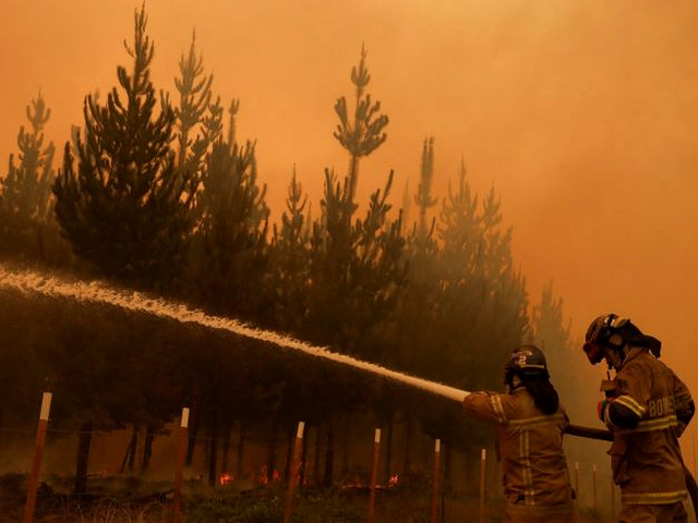 22 killed in Chile wildfires