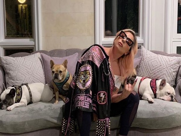Lady Gaga sued by dog thief accomplice