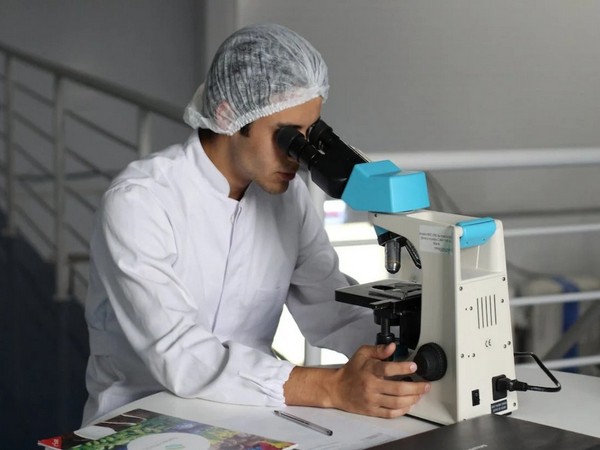 Liver cells control biological clock