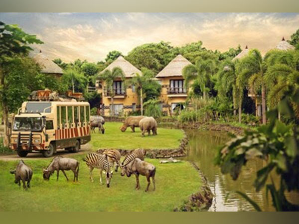 Bali Safari: Magical Summer Adventure