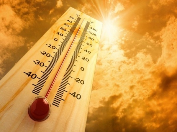 Spain confronts the aftermath of a historic heatwave