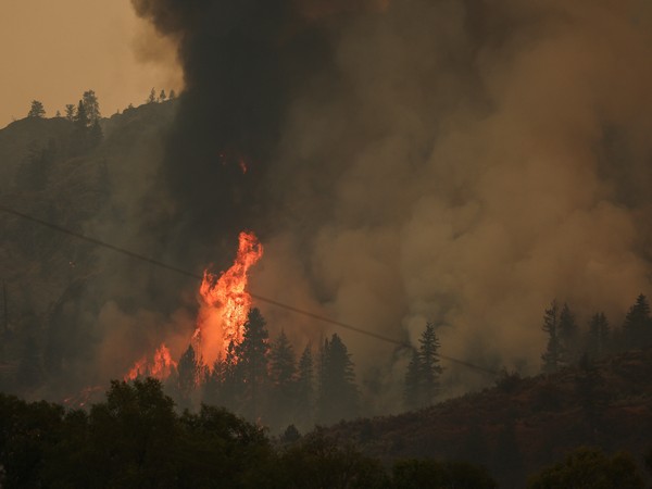 Lalitpur forest fire: Another injured also dies