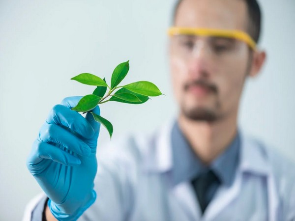 Human love of nature can be attributed to heredity and environment