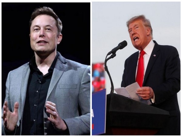 Musk reacts to Trump’s comeback on X