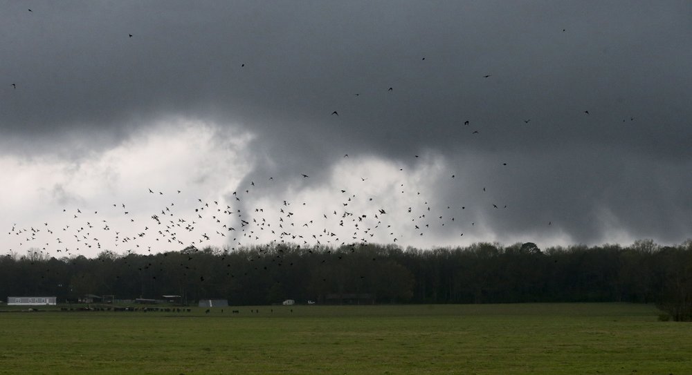 Severe storms, tornadoes possible across the Deep South