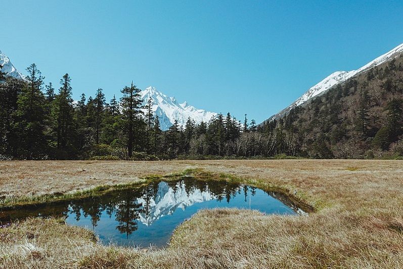 Forests Minister expects support from all quarters in conservation efforts