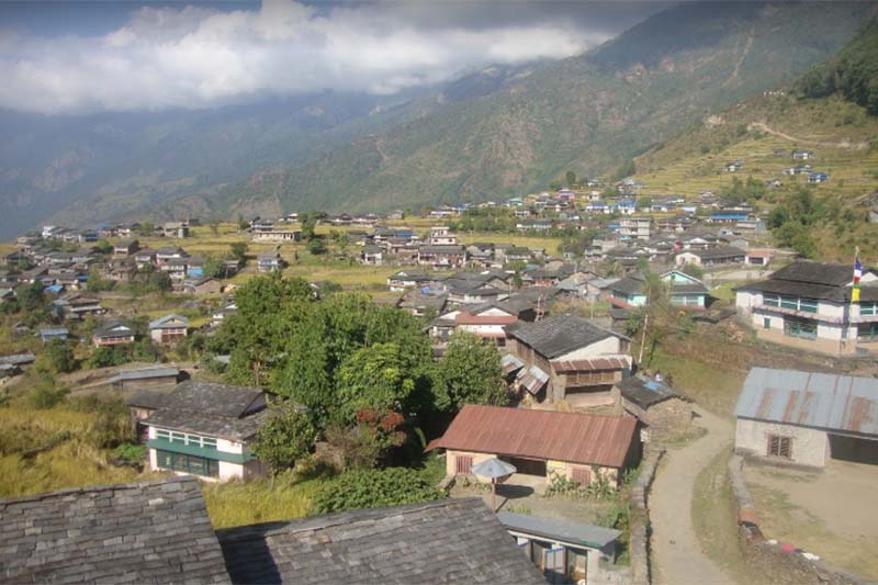 Two killed, seven injured in road accident