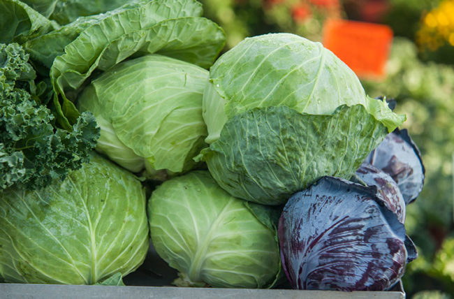 Cabbage worth Rs 170 million exported