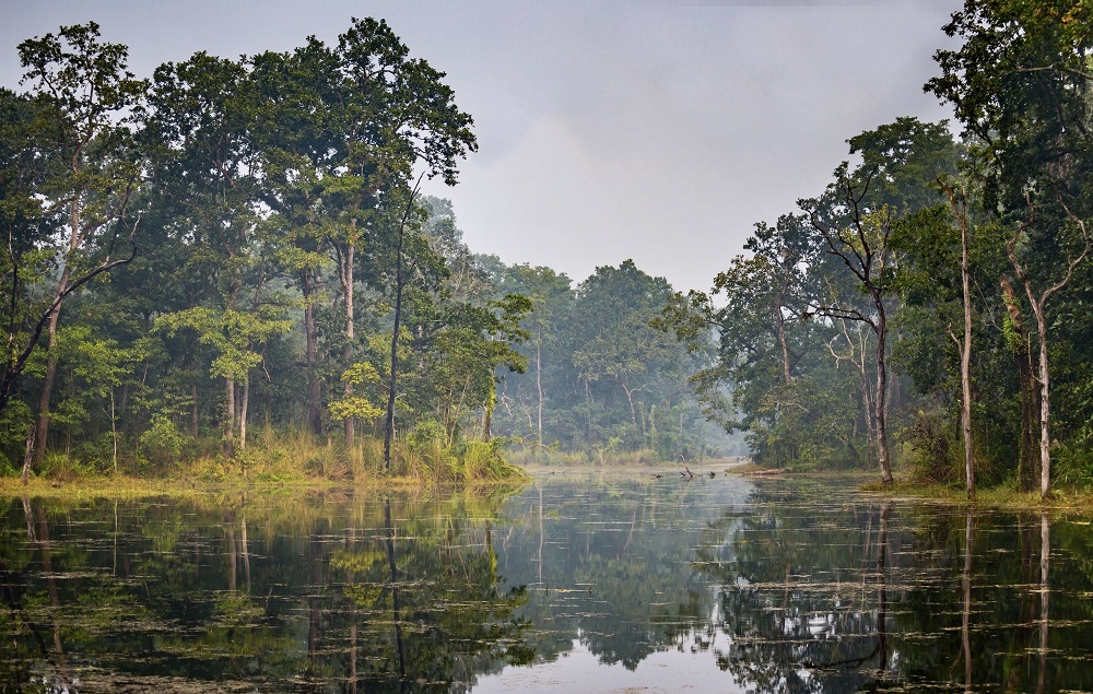 Eco corridor in community forests to draw tourists