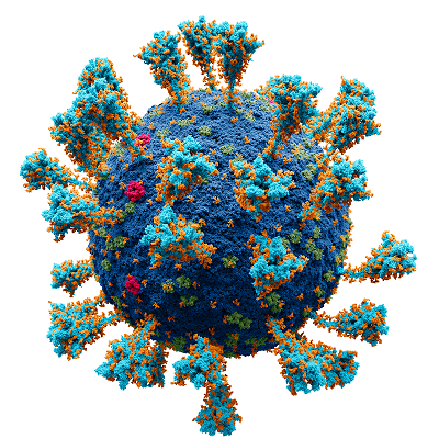 Coronavirus detected again in Sudurpaschim