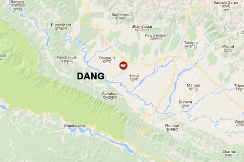 295 new small industries established in Dang
