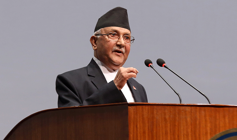UML Chair Oli plants saplings