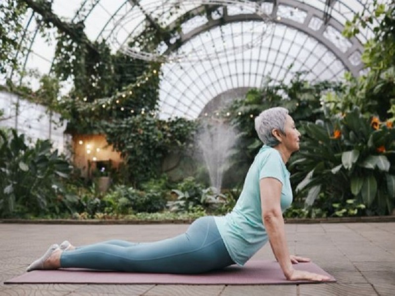 Regular physical exercise modulates iron metabolism in Alzheimer’s disease patients: Study