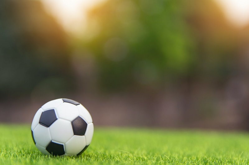 Gandaki University announces Bachelor’s in Sports Management