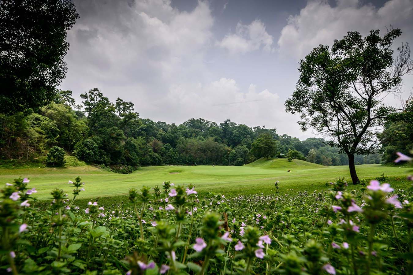 Gokarna Forest Resort- Redefining Hospitality