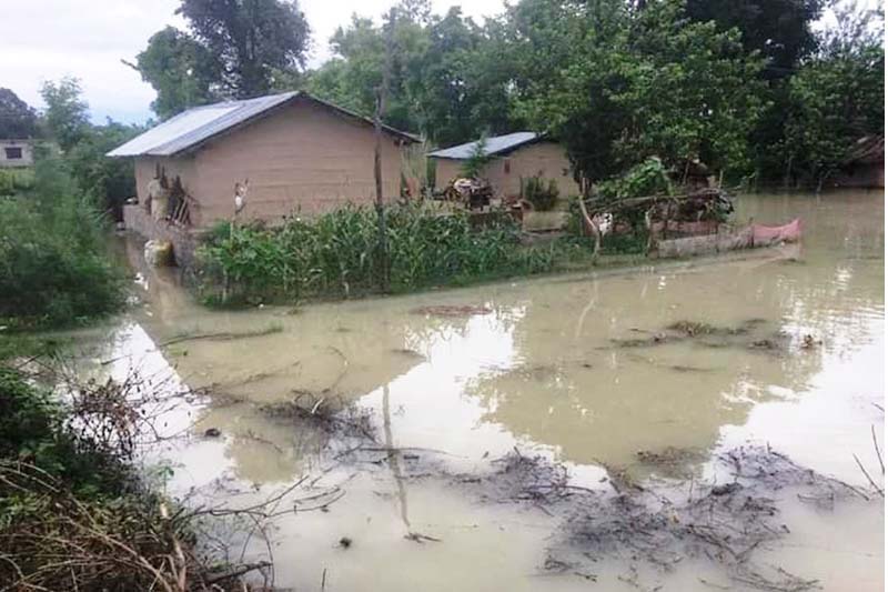 15 houses inundated in Kanchanpur’s Bhimdatta