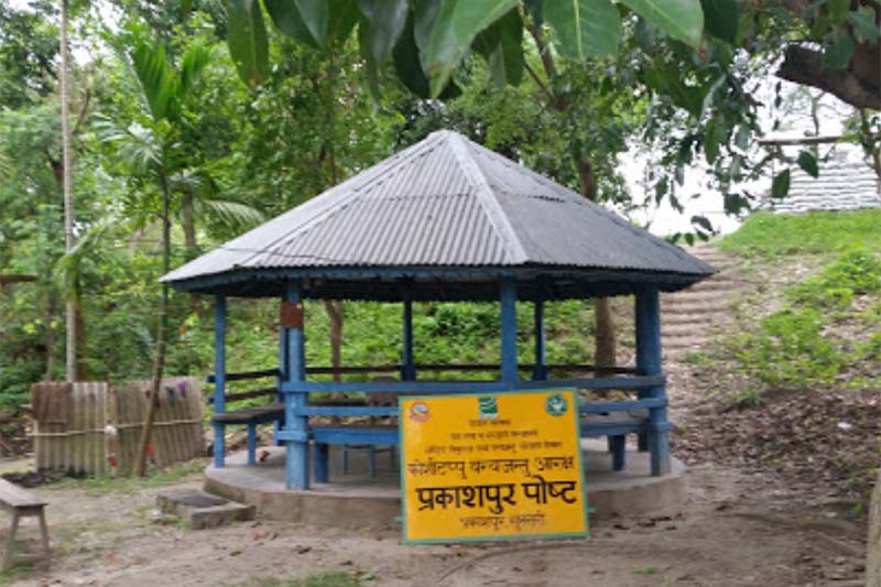 Koshi Tappu Wildlife Reserve sees surge in visitors