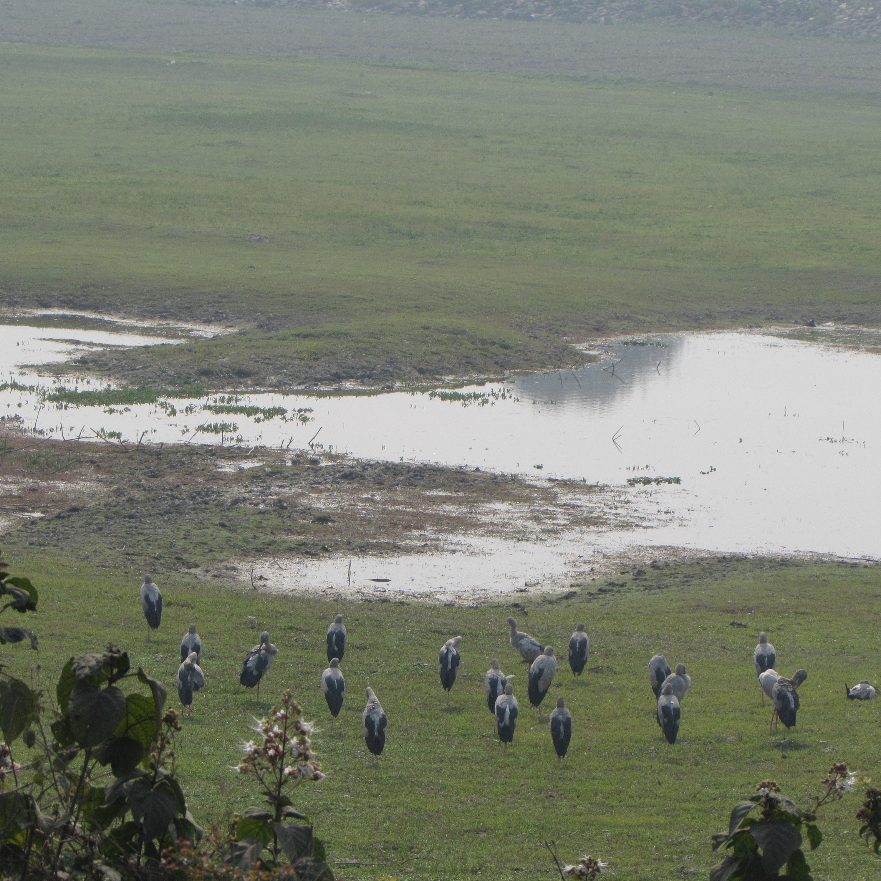 Seven wetlands named before noted conservationists’ names
