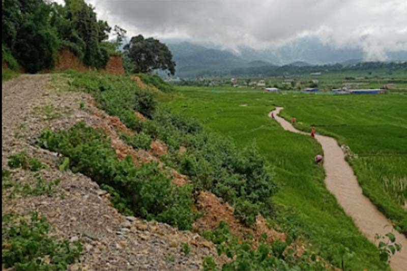 1 dead, 1 hurt as ambulance plunges 700m in Rolpa