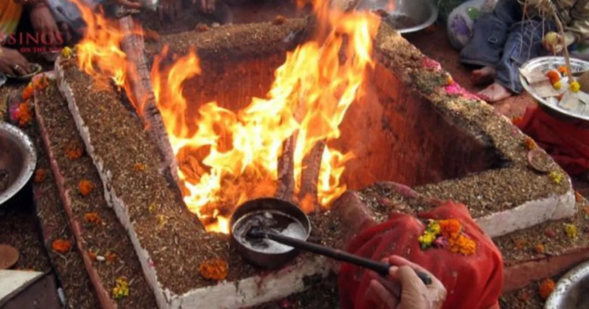 Event to protect street cattle to be organized