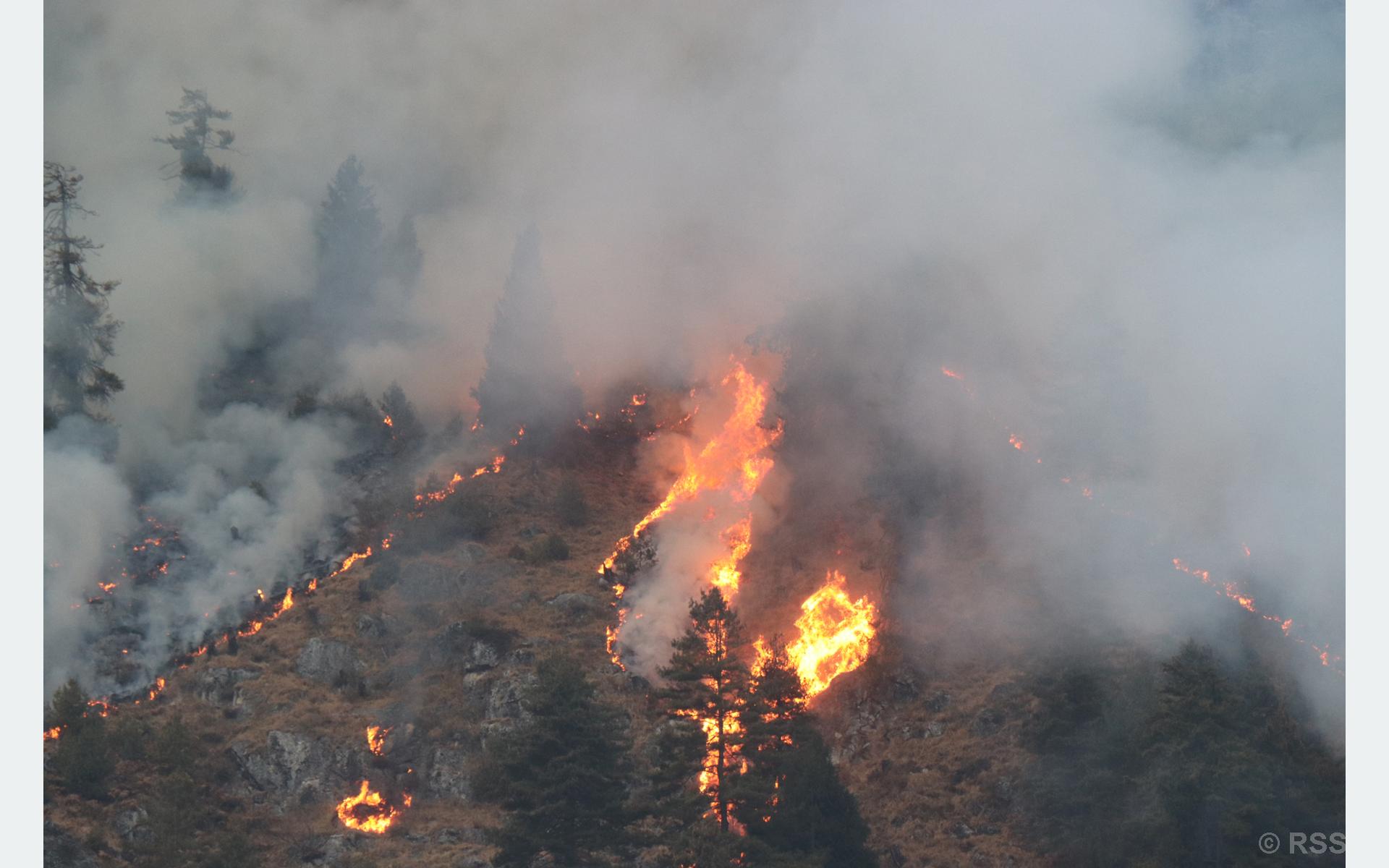 Fire destroys seven houses, loss of property worth Rs 5.4 million