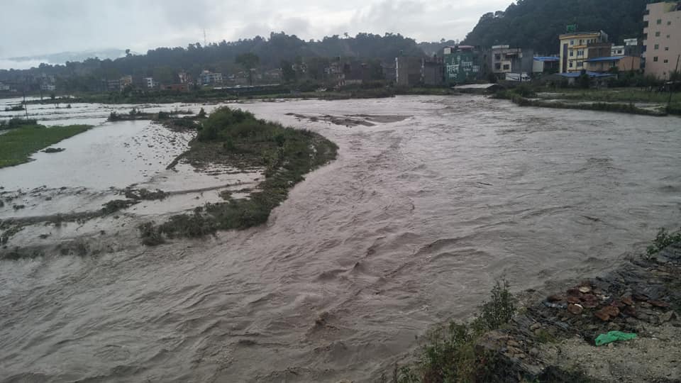 Flood from Godavari River inflicts damages