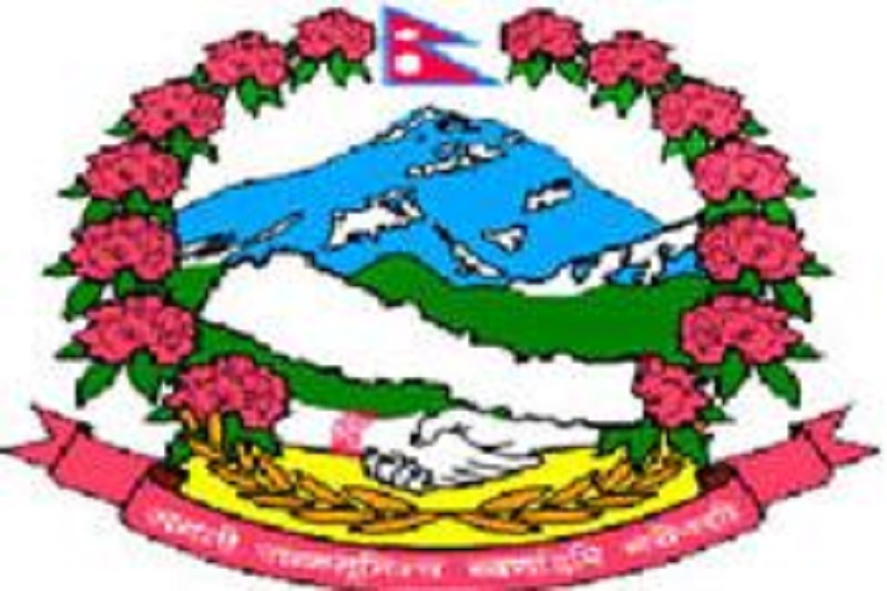 DMG issues licenses for exploration of 420 mines