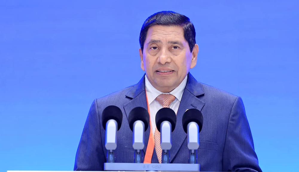 Citizenship-related Regulations to be tabled in Cabinet soon: DPM Shrestha