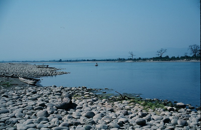 24 arrested for illegal fishing in Chitwan