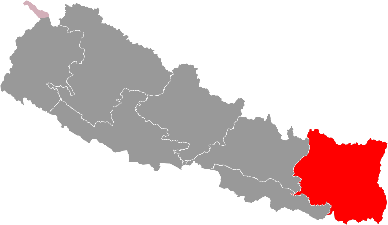 Culture must be protected from extinction: CM Rai