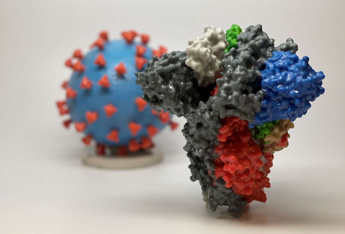 Five women returned from India test coronavirus positive