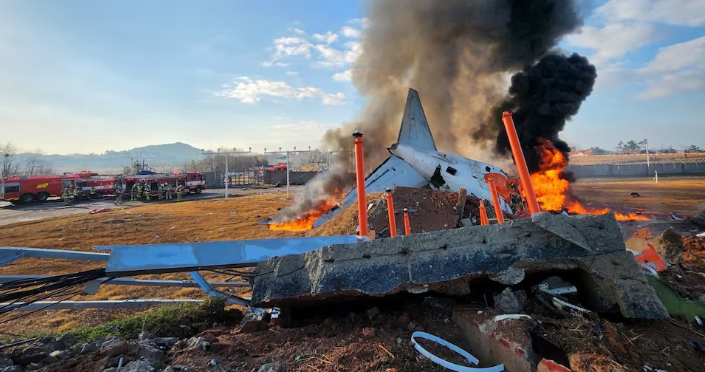 Bird strike warning issued shortly before Jeju Airplane crash in Muan: ministry