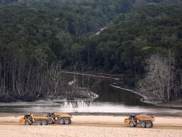 Malaysia plants 7 million trees to protect coastal forests